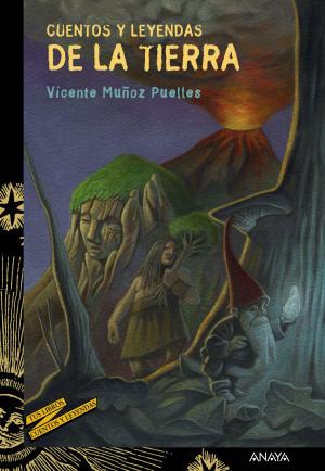 Cover of the book Cuentos y leyendas de la Tierra by Vicente Muñoz Puelles