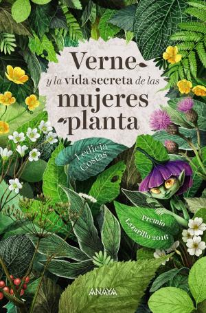 Cover of the book Verne y la vida secreta de las mujeres planta by Leandro Fernández de Moratín