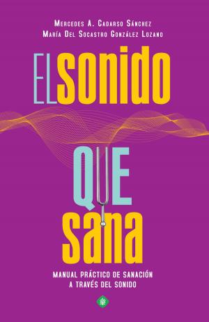 Cover of the book El sonido que sana by David Alegre Lorenz