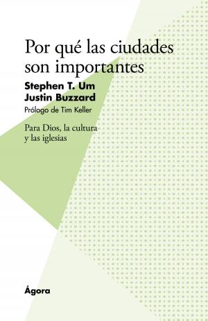 Cover of the book Por qué las ciudades son importantes by Davis, Giles