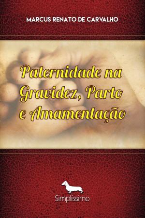 Cover of the book Paternidade na gravidez, parto e amamentação by Ronaldo Negrão