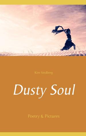 Cover of the book Dusty Soul by Siggi Sawall