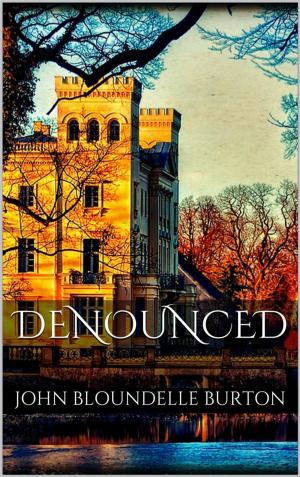 Cover of the book Denounced by Letterland