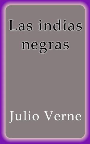 Cover of the book Las indias negras by Julio Verne