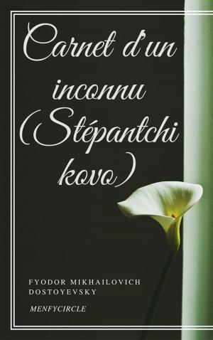 Book cover of Carnet d'un inconnu (Stépantchikovo)