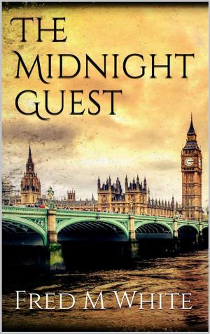 Book cover of The Midnight Guest