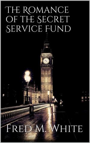bigCover of the book The Romance of the Secret Service Fund by 