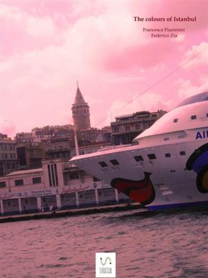 Cover of the book The colours of Istanbul by Jennifer John, Alexander John