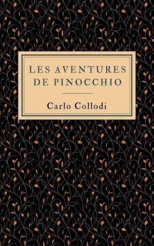 Cover of Les aventures de Pinocchio
