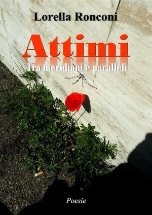 Cover of the book Attimi. Tra meridiani e paralleli by Richard Wagner, Louis-Pilate de Brinn’Gaubast, Edmond Barthèlemy