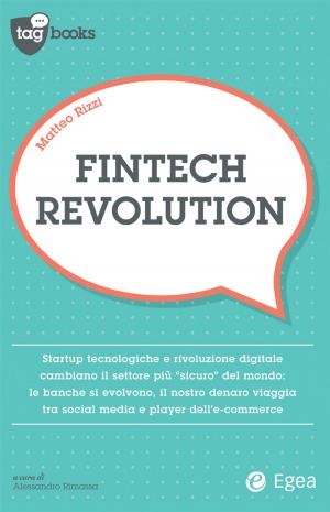 Cover of the book Fintech Revolution by Silvano Tagliagambe
