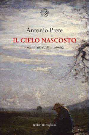 Book cover of Il cielo nascosto