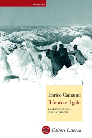 Cover of the book Il fuoco e il gelo by Ulrich Beck