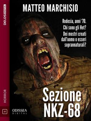 Cover of the book Sezione NKZ-68 by Ken Britz
