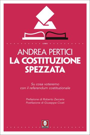 Cover of the book La Costituzione spezzata by Marina Pellanda