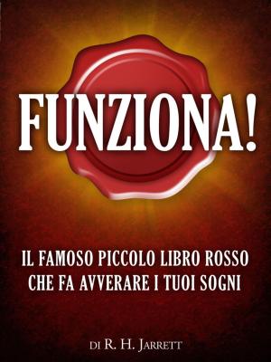 Cover of the book Funziona by Sophie Delaplaine
