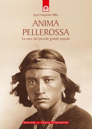Cover of the book Anima pellerossa by Urmila Desai, Amadea Morningstar