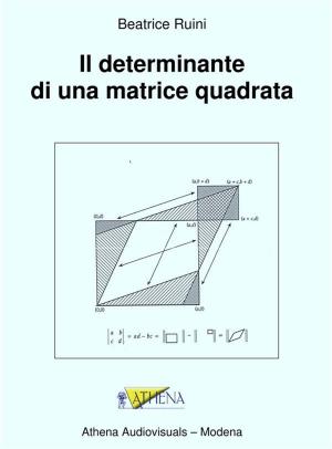 Cover of Il determinante di una matrice quadrata