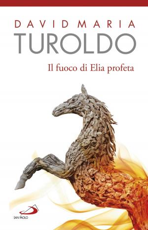 Cover of the book Il fuoco di Elia profeta. Omelie 1989-1990 - Testamento spirituale by Gilberto Gillini, Mariateresa Zattoni