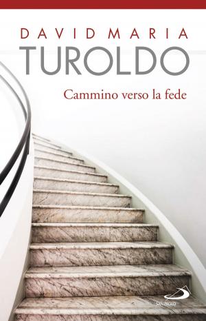 Book cover of Cammino verso la fede