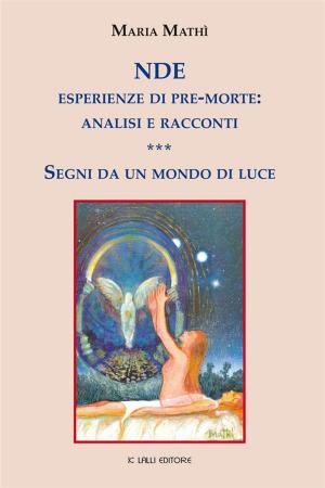 Cover of the book NDE esperienze di pre-morte: analisi e racconti by Kirsten Marie Wohlgemuth