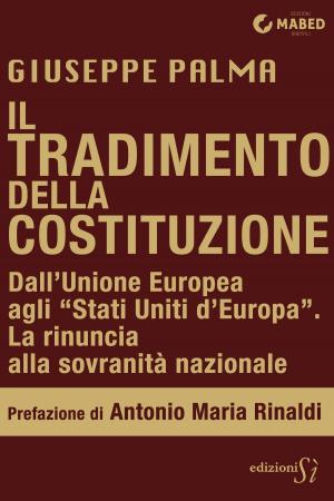 Cover of the book Il tradimento della Costituzione by Hal Stone