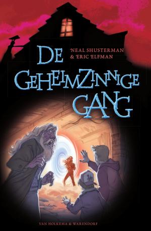 Cover of the book De geheimzinnige gang by Vivian den Hollander