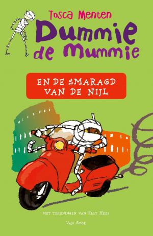 Book cover of Dummie de mummie en de smaragd van de Nijl