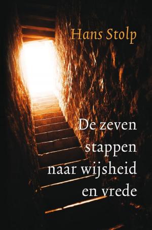 Cover of the book De zeven stappen naar wijsheid en vrede by Philip Troost