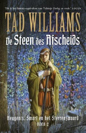 Cover of the book De steen des afscheids by Nicholas Kaufmann