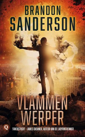 Cover of the book Vlammenwerper by Pieter Frijters