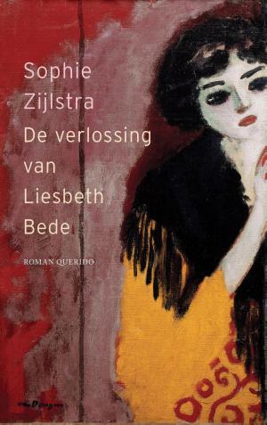 Cover of the book De verlossing van Liesbeth Bede by Arthur Japin