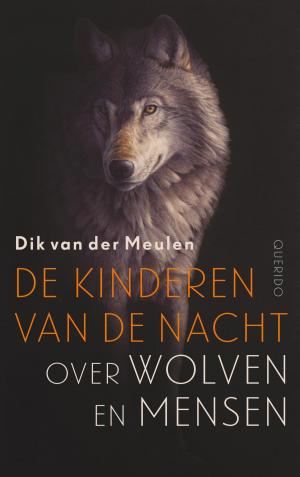 Cover of the book De kinderen van de nacht by Toon Tellegen