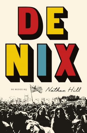 Cover of the book De Nix by Jan Arends