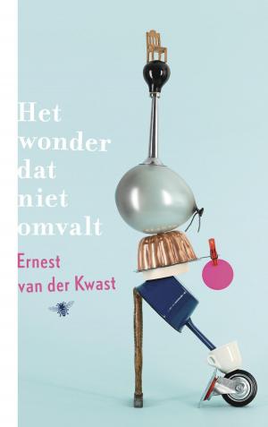 Cover of the book Het wonder dat niet omvalt by Paul Glaser