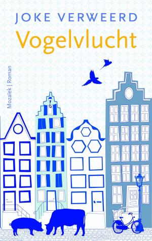 Cover of the book Vogelvlucht by Olga van der Meer