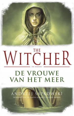 Cover of the book De vrouwe van het meer by Graeme Simsion