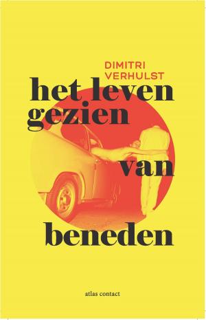 Cover of the book Het leven gezien van beneden by Oek de Jong