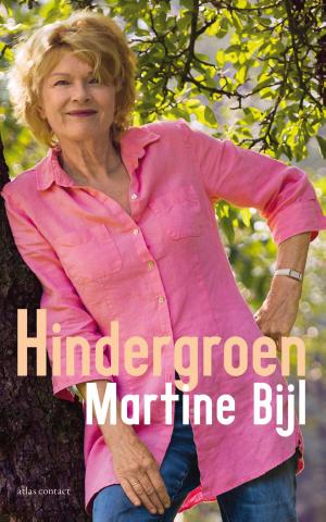 Cover of the book Hindergroen by Maarten van der Graaff