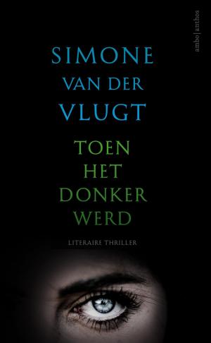 Cover of the book Toen het donker werd by Tony Padegimas