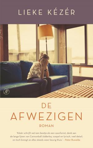 Cover of the book De afwezigen by Tomas Lieske