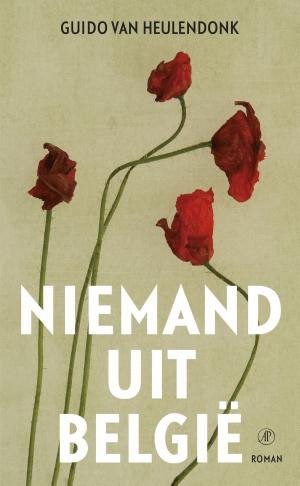 Cover of the book Niemand uit België by Håkan Nesser