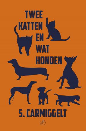 Cover of the book Twee katten en wat honden by Rudi van Dantzig