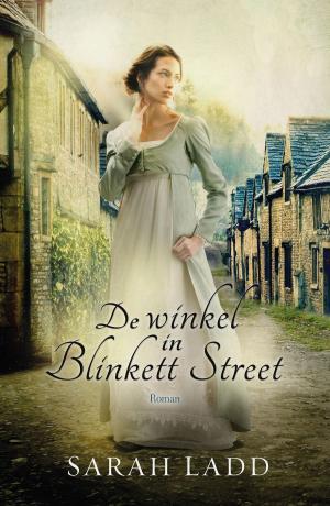 Cover of the book De winkel in Blinkett Street by Kelly Weekers