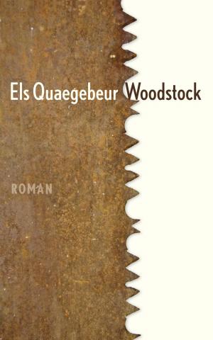 Cover of the book Woodstock by J. Bernlef, Carl Olof Bernhardsson, Bob Langestraat