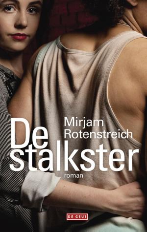 Cover of the book De stalkster by J. Bernlef