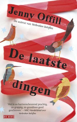Cover of the book De laatste dingen by Tijs van den Boomen
