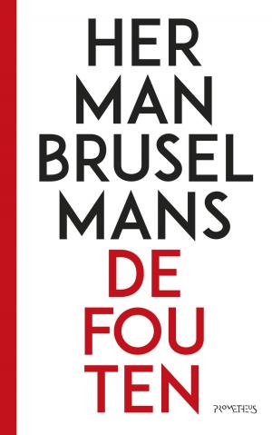Cover of the book De fouten by Jan Maarten Slagter, Patrick Bernhart