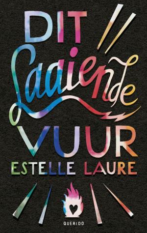 Cover of the book Dit laaiende vuur by Luc Panhuysen, René van Stipriaan