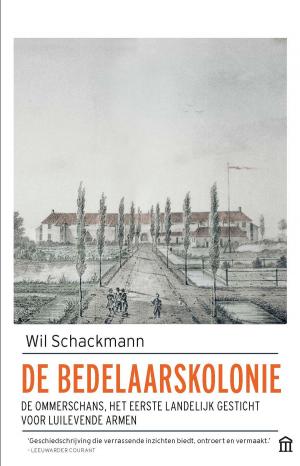 Cover of the book De bedelaarskolonie by Wouter Godijn
